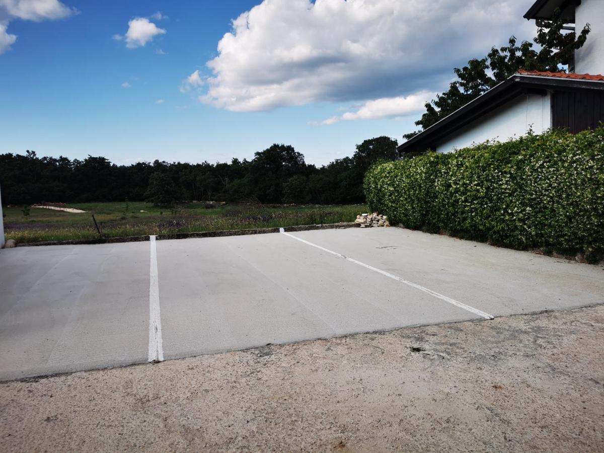 Meressa Paolia Apartments Novigrad  Bagian luar foto